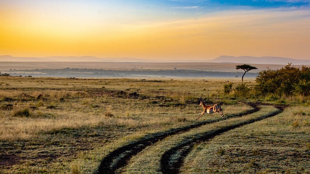 Cape Town, Kruger & Victoria Falls (11 Days / 10 Nights)
