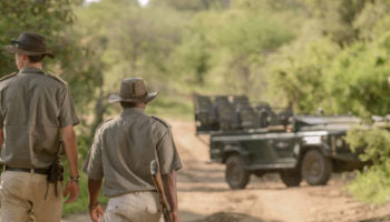 Cape Town, Kruger & Victoria Falls (11 Days / 10 Nights)