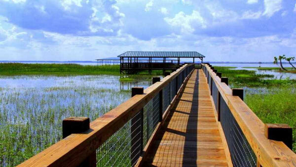 Florida Everglades Airboat Tour and Wild Florida Admission